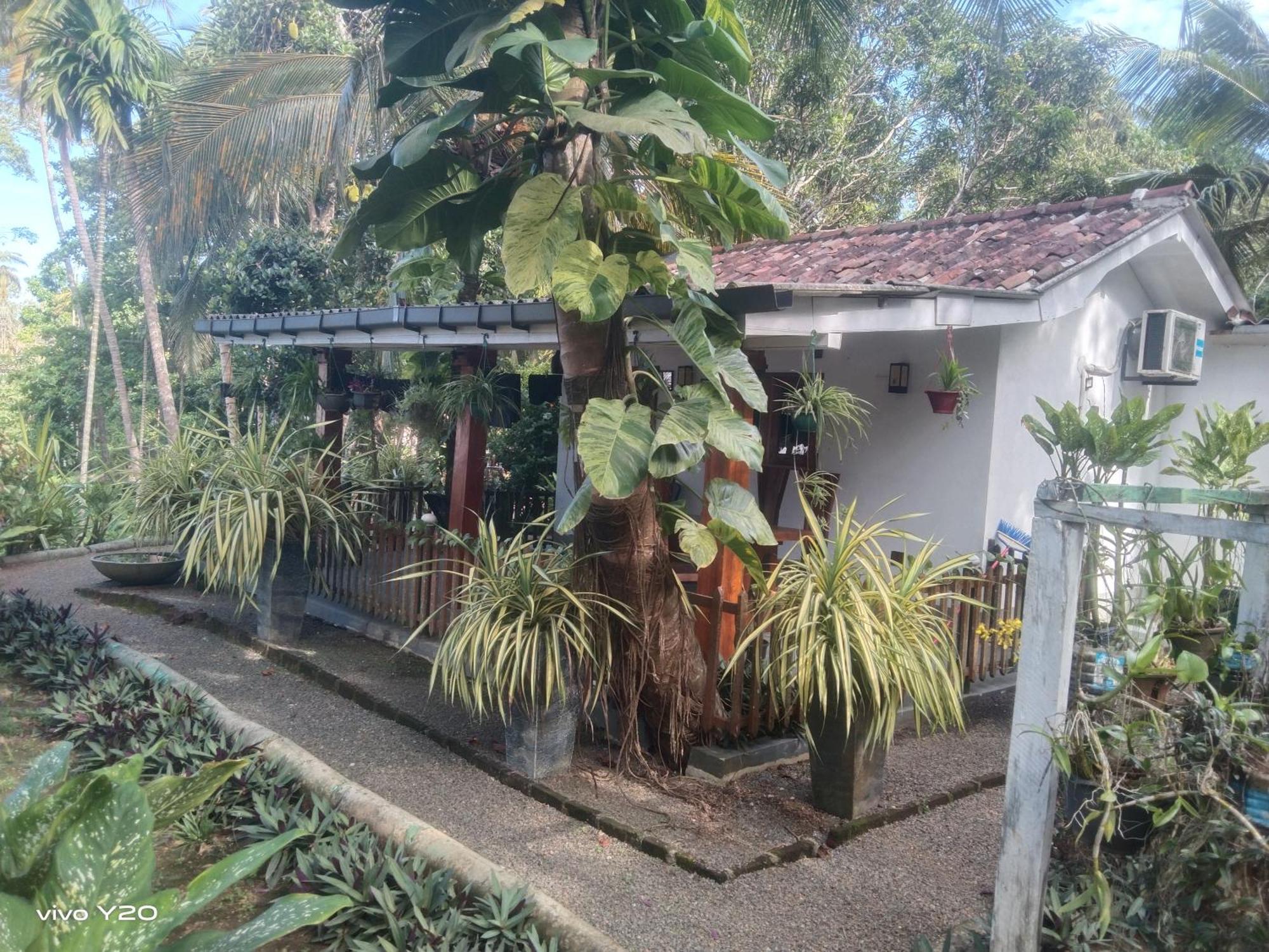 Lovers Green Villa Матара Екстер'єр фото